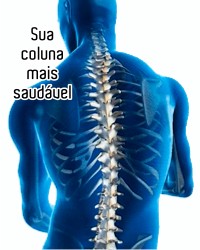 colchao bio anatomico - sua coluna mais saudável - aliado no combate das dores espondilolistese - Protusão discal - Cervicalgia - Lombalgia - Ciatalgia - Escoliose - COLCHOES - Benefícios - dores lombares - dores no nervo ciático - inflamações e inchaços - dores e febres - disfunções intestinais - estresse - envelhecimento precoce - fibromialgia - artrite artrose e osteoporose - distúrbios do sono - varizes - stress