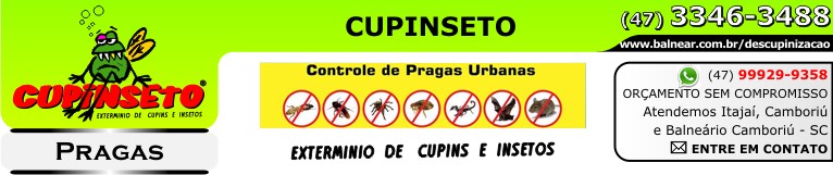 CUPINSETO - Extermínio de Cupins e Insetos - CONTROLE DE PRAGAS URBANAS - Fone: (47) 3346-3488 - Atendemos Itajaí - Balneário Camboriú e região - Santa Catarina