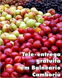 Tele-entrega gratuita em Balneário Camboriú