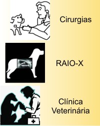 Cirurgias - RAIO-X - Clínica Veterinária - cirurgia - raio x - raiox - raio-x - clinica veterinaria